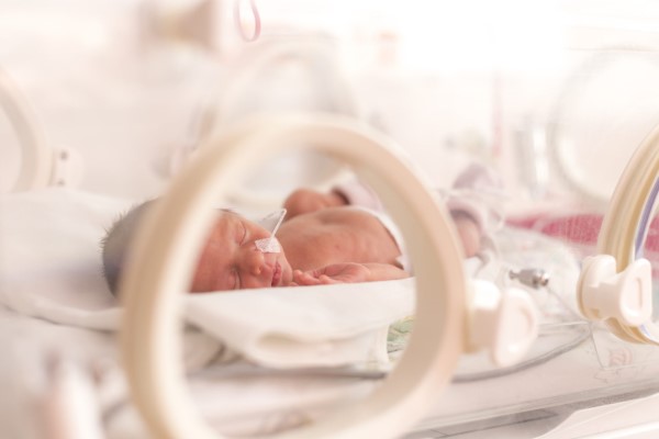 The Campaign for NICU and Maternal Care
